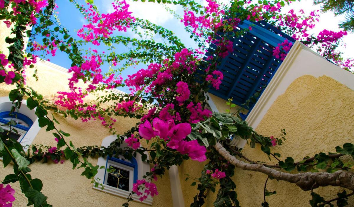 Hotel Zeus Kamári Exterior foto